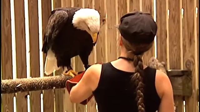 AUDUBON CENTER FOR BIRDS OF PREY смотреть онлайн