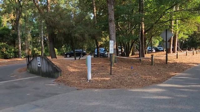 ПЛЯЖ // ОТДЫХАЕМ // КРАСОТИЩА // США смотреть онлайн