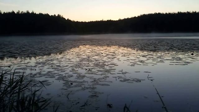 рассвет на вепренке . смотреть онлайн