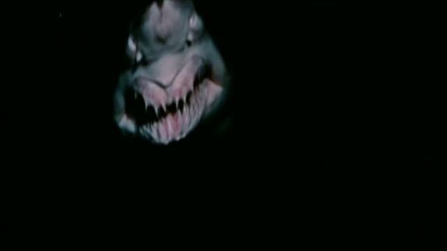 Акула смеётся.wmv смотреть онлайн