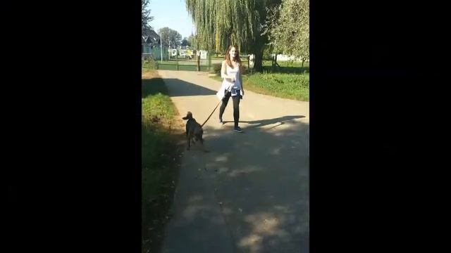 Állatmenhelyen járt a Mosollyal a Világért Ifjúsági Szervezet. смотреть онлайн