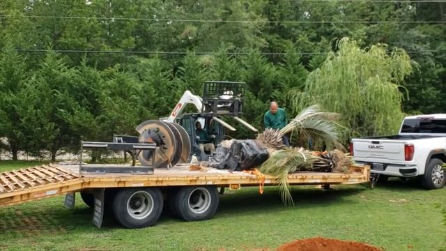 КАК МЫ ДЕЛАЛИ ФЛОРИДУ В ЮЖНОЙ КАРОЛИНЕ // США смотреть онлайн