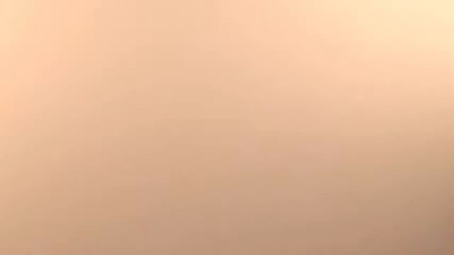 Нанесение декоративной штукатурки ТМ Antica Signoria -Chiffon