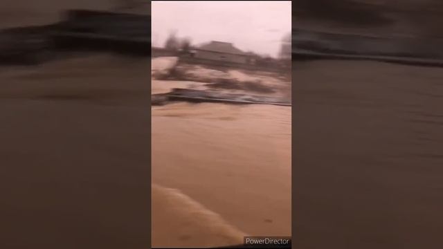 Туркестан область смотреть онлайн