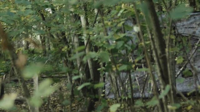 Airsoft Gameplay Highlights - Marshalls Vs Players @ D&A DropZone смотреть онлайн