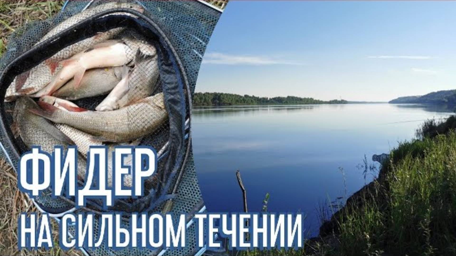 Фидер на сильном течении. Ловля язя и леща на фидер. Рыбалка 2022. смотреть онлайн