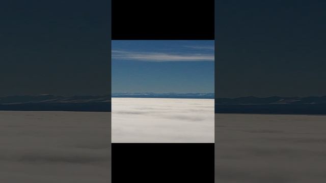 1000022422.mp4 смотреть онлайн