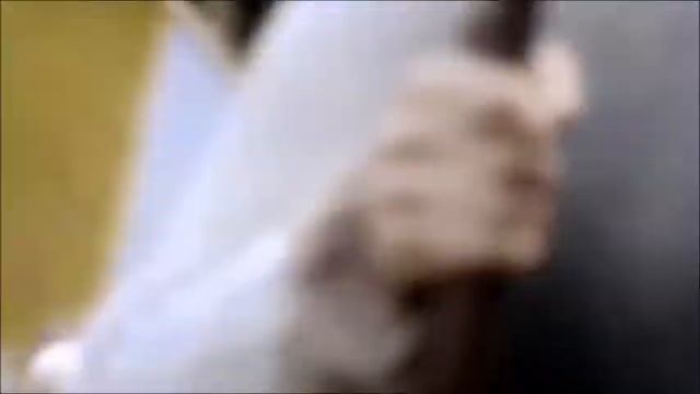 Immigrant Song - Led Zeppelin