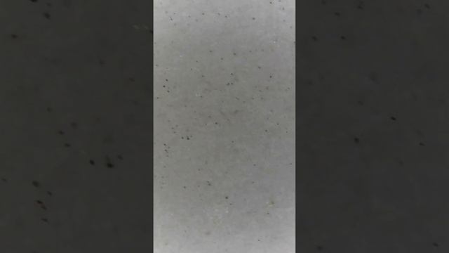 стирающаяся ручка под микроскопом #andonstar #microscope #magnification смотреть онлайн