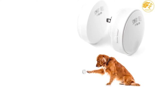 Top 5 Best Wireless Dog Doorbells for Potty Training in 2021 Reviews смотреть онлайн