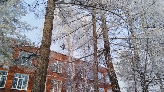 он самый смотреть онлайн