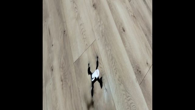 Он умер спустя день