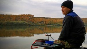 Фидер на сильном течении. Рыбалка на фидер осенью 2024. Поклевки на фидер ЯЗЯ.