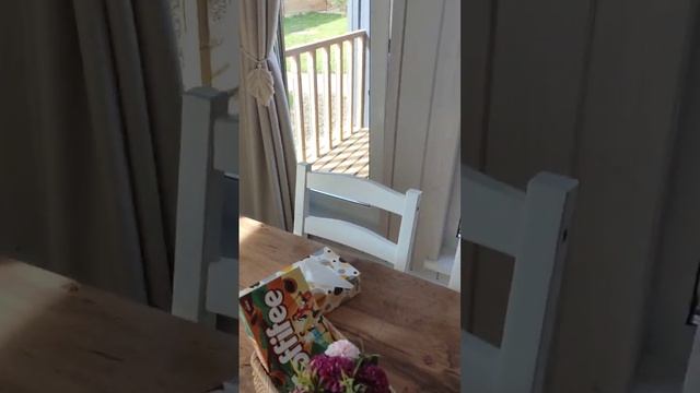 Путеводитель по дому Skandi белка