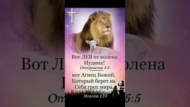 ВОТ ЛЕВ ОТ КОЛЕНА ИУДИНА !!! - 22.06.2024 смотреть онлайн