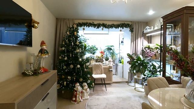 23-12-2024. 4294582
