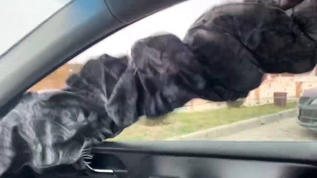 Pride S5 / Pride 10k