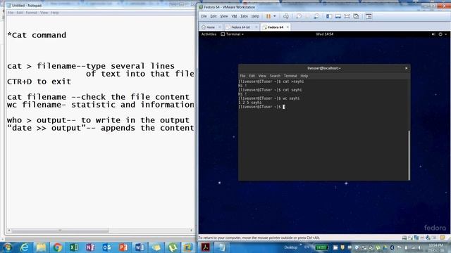 Linux Commands for Beginners: cat Linux Command смотреть онлайн
