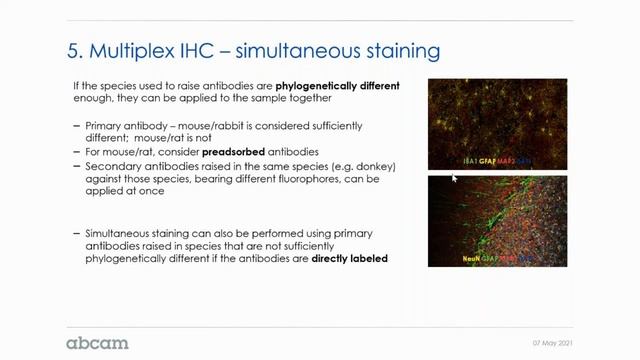 Abcam: Fundamentals and New Technologies in IHC смотреть онлайн