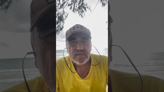 1 сентября 2024 г. смотреть онлайн