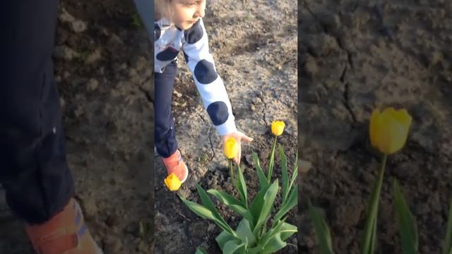 Всемирное тяготение.картошка смотреть онлайн