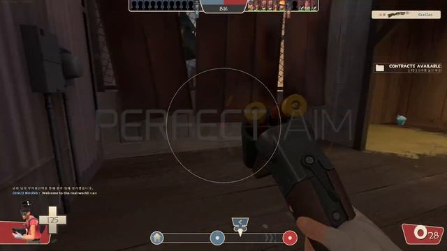[TF2] Team Fortress 2 INSANE CHEATING With PERFECTAIM