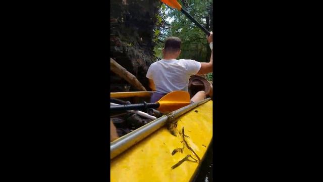 наш сплав по Ворскле 29.08.2020 смотреть онлайн