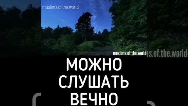 ❤Напоминание себе и вам! смотреть онлайн