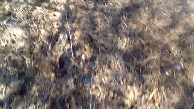 Вызов Рейка. Пришел Смаил дог. смотреть онлайн