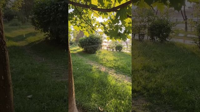 Люблю вас ❤️ смотреть онлайн