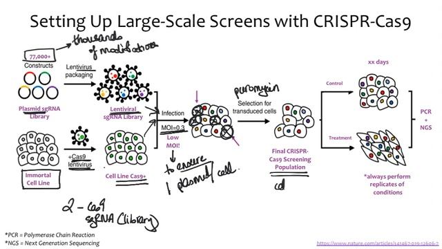 CRISPR Cas9 Screening