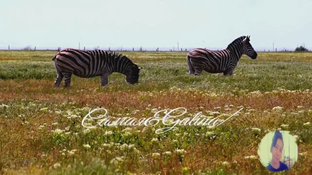 Edgar Tuniyants--Collection Of Music--Heavenly Paradise-22.12.2024.Самая&Galina.