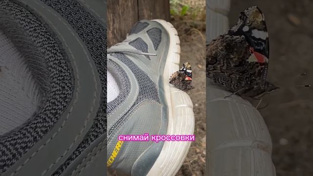 Снимай кроссовки… смотреть онлайн