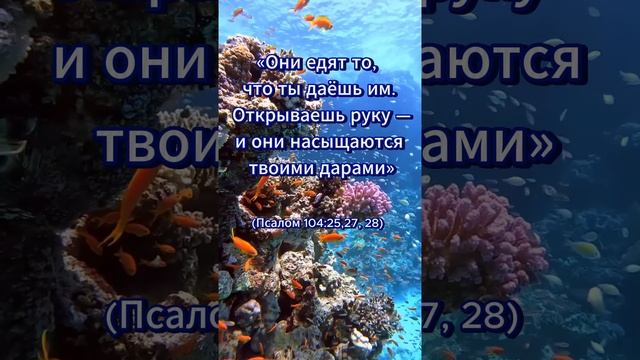 В море, великом и необъятном