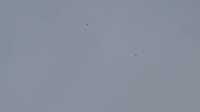 Николаевские голуби Коппель Эдик смотреть онлайн