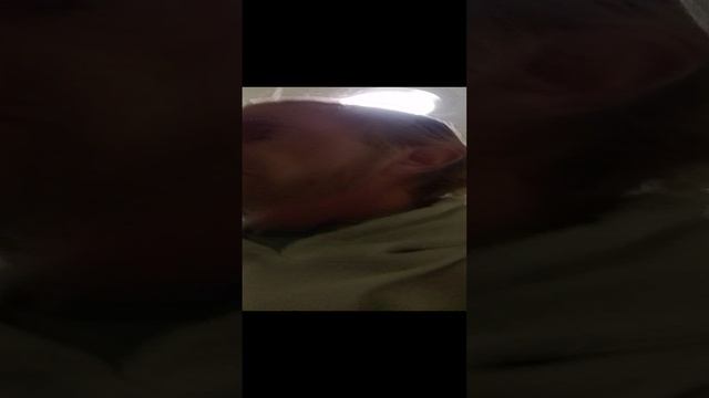 Di ritorno ad Aqaba Giordania смотреть онлайн