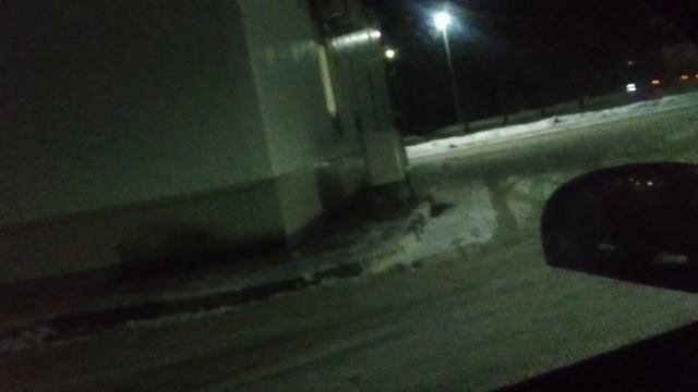 Газовая история начало 27 декабря 2023 год или ледяной дом смотреть онлайн