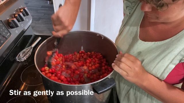 Preserving Cherries into Pie Filling смотреть онлайн