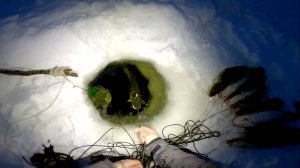 Рыбалка у чёрной дыры. Ловля налима. Сорок девятая серия.