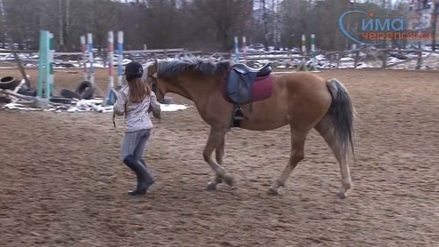 03.04.2014 Хромая лошадь смотреть онлайн