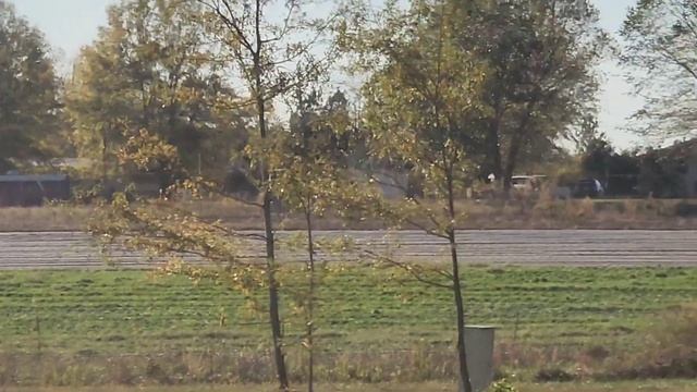 БАЗАРЧИК / ВЫВЕЗ МУСОР / ДОМАШНИЕ ХЛОПОТЫ // США смотреть онлайн