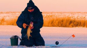 ФЛАГ ЗА ФЛАГОМ ПОСЛЕ ТОГО КАК СДЕЛЕЛ ЭТО!!!  Небольшая хитрость принесла рыбу! Рыбалка не жерлицы!