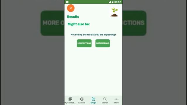 PlantSnap identifies a Calliandra houstoniana смотреть онлайн