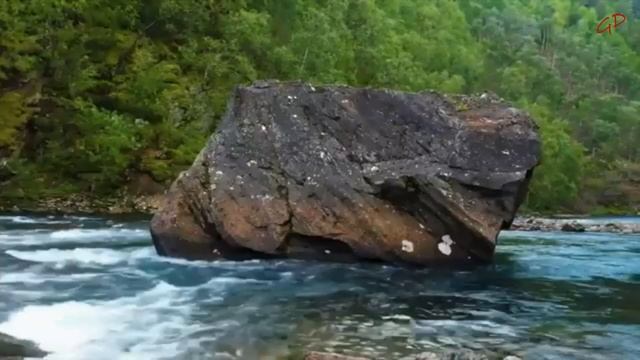 Denis Gorobchenko - Exclusive /Эксклюзив// Instrumental music - 2006/ смотреть онлайн