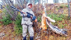 ОХОТА НА ЛИСУ-СЛАБОНЕРВНЫМ НЕ СМОТРЕТЬ / ИСКРЫ ЛЕТЯТ КАК БУДТО БРОНЕБОЙНЫМИ СТРЕЛЯЮТ.