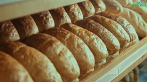 ❗6 причин НЕ есть ХЛЕБ...🥖  Чем ОПАСЕН белый ХЛЕБ?🥐  Вред хлеба...