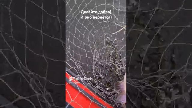 Делайте добро и оно вернется)