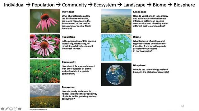 BL 232: Week 1 CH 1: The Nature of Ecology смотреть онлайн