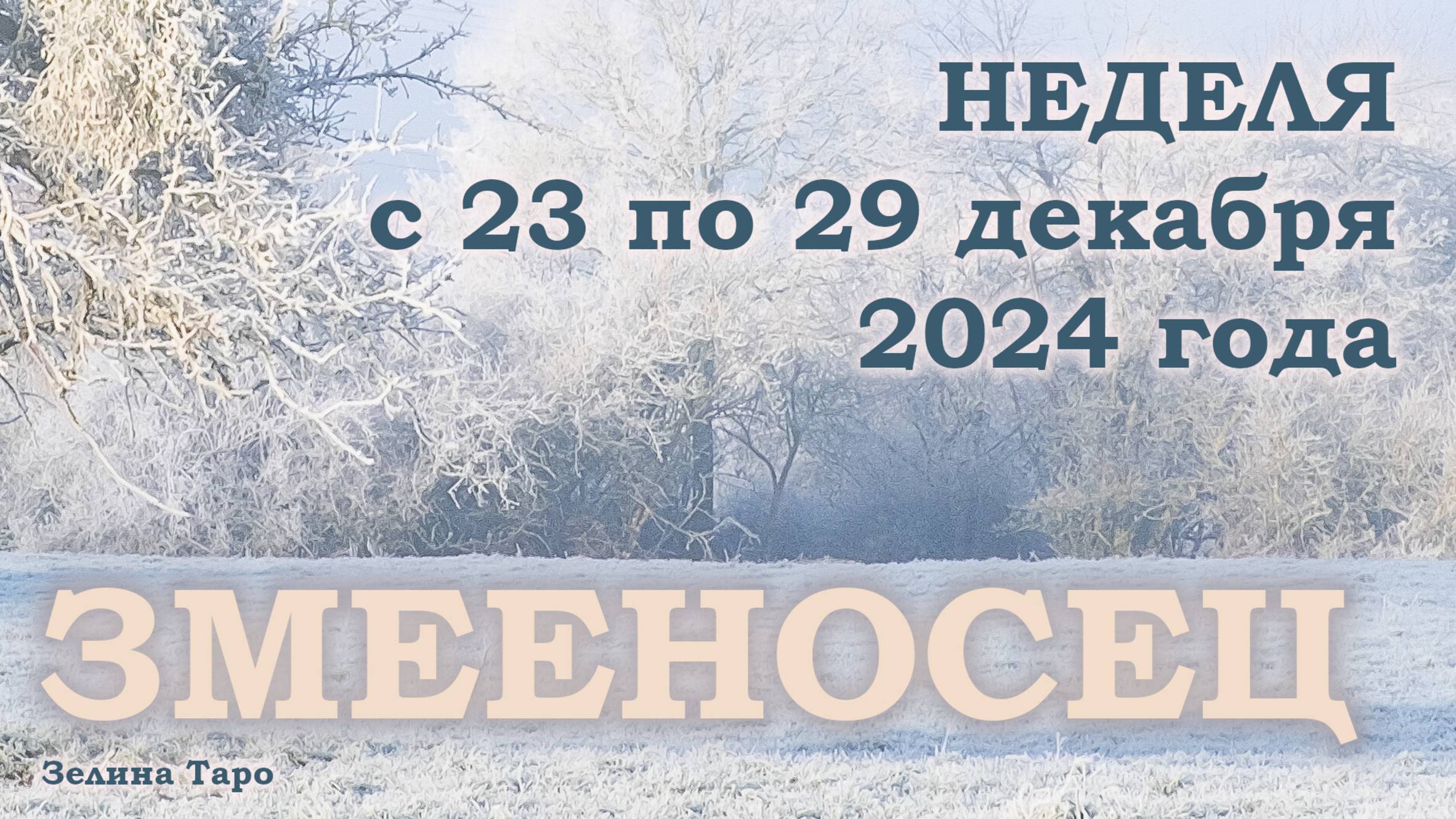 ЗМЕЕНОСЕЦ | Таро прогноз на неделю с 23 по 29 декабря 2024 года