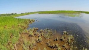 Отличная рыбалка в день рыбака! Кастинговая сеть 30-ка ф4м..mp4